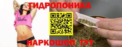 мдпв Пушкино