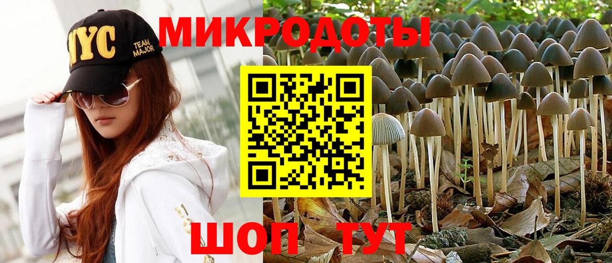 Саранск  Галлюциногенные грибы мухоморы  Вход с VPN  Псилоцибиновые грибы Psilocybine cubensis 