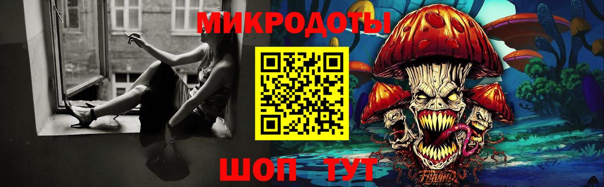 Галлюциногенные грибы Psilocybine cubensis Саранск